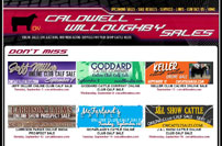 Caldwell Willoughby Sales